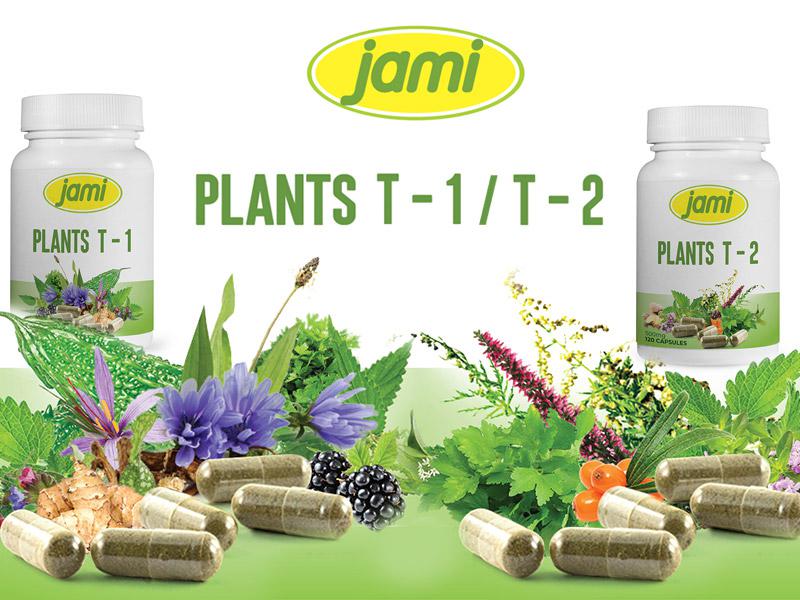 PLANTS T-1 and T-2