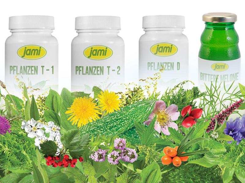 RÜCKKEHR ZUR NATUR